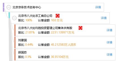 北京京非技術(shù)咨詢中心 技術(shù)賦能，智領(lǐng)未來(lái)