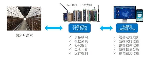 數據采集技術在現代信息社會中的關鍵作用與應用前景